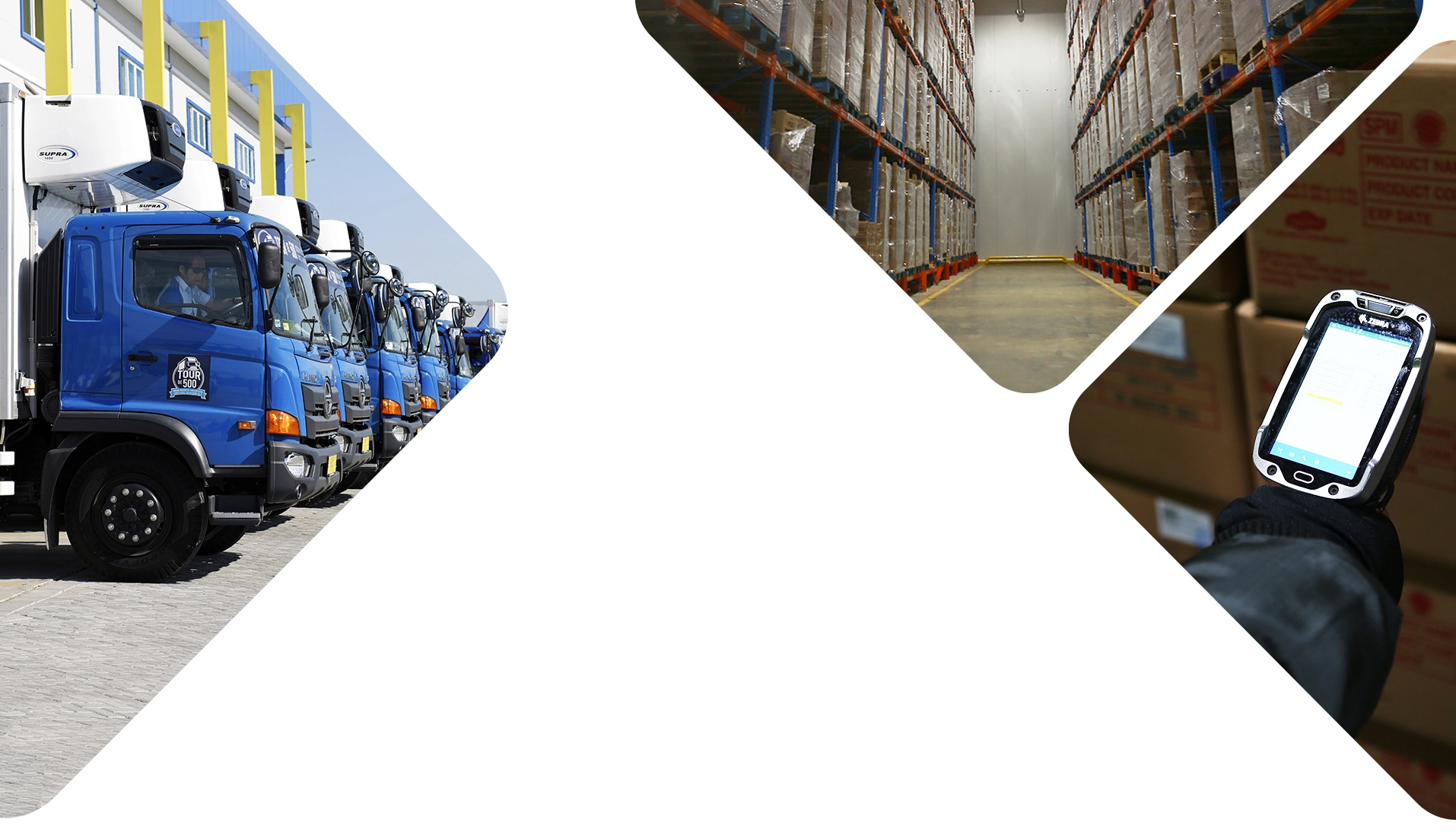 cold storage dan cold chain indonesia