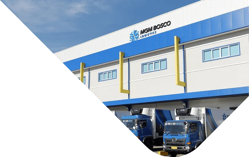 About MGM Bosco Logistics