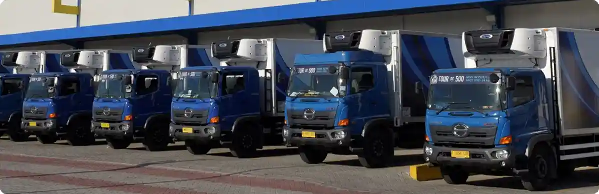 MGM Bosco Logistics distribution fleet