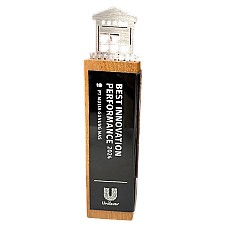 Best Innovation Performance